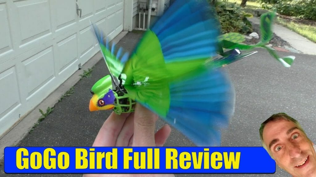 zing gogo bird