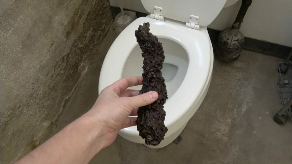 pooping dinosaur
