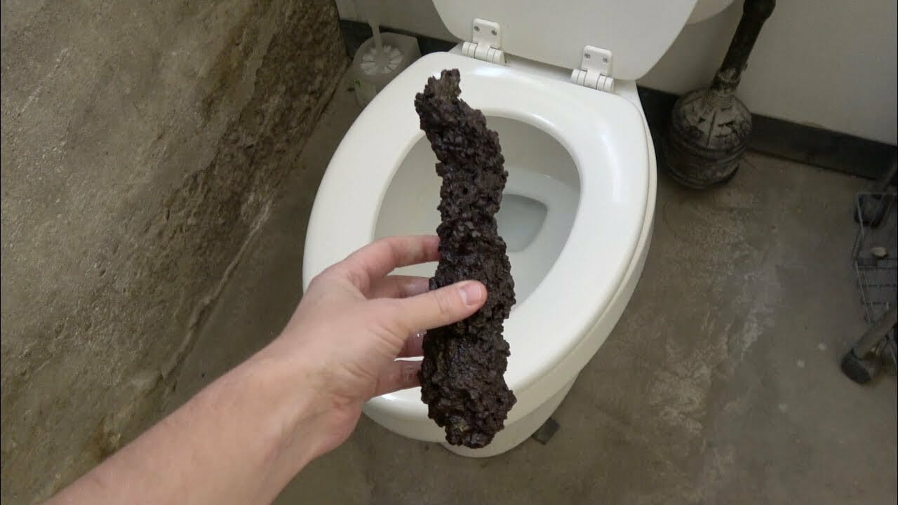 real dinosaur poop